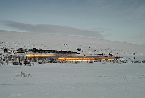 Keinotekoisesti valaistujen viljelykasvien pölytysneuvonta