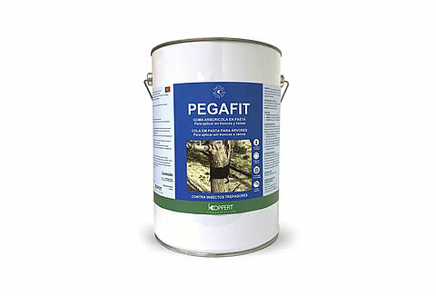 Pegafit