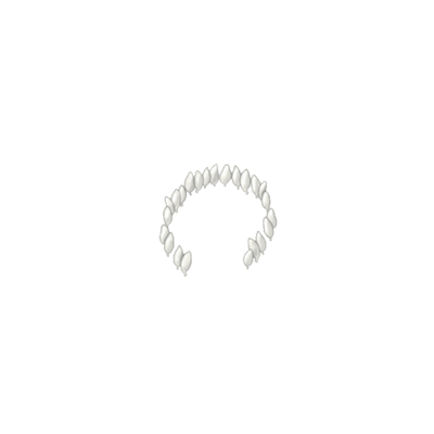 Greenhouse whitefly Trialeurodes vaporariorum egg circle