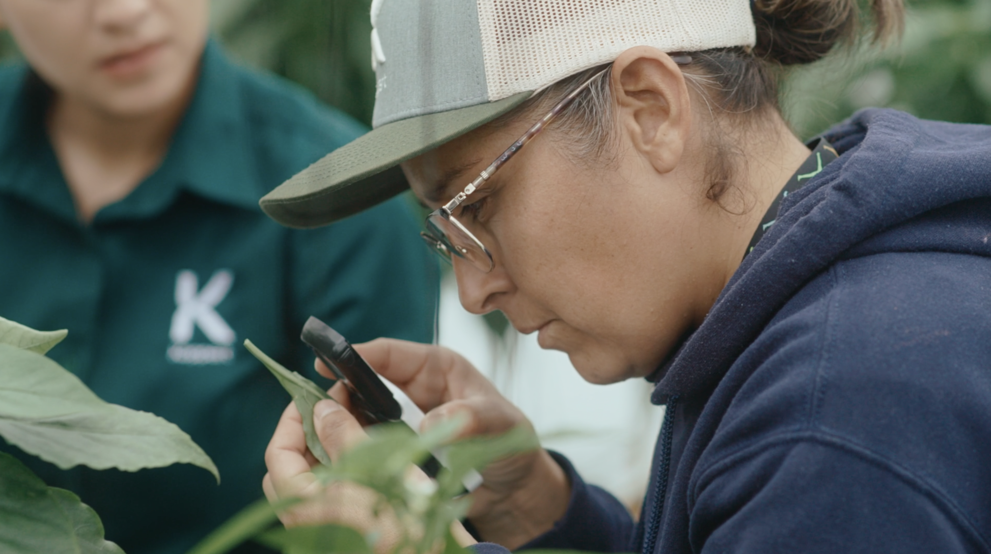 HyFood takes habanero to another level with biological control